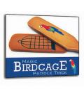 Birdcage Paddles Magic