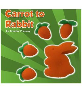 Sponge Carrot to Rabbit Set