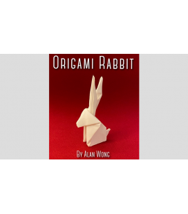 Origami Rabbit By Alan Wong