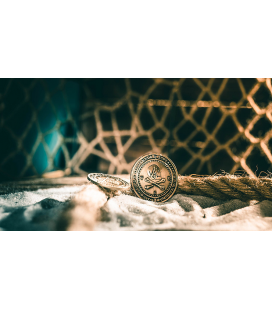 Pirate Coins (Dollar Size) By Ellusionist