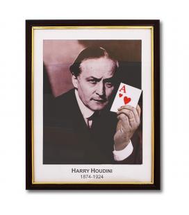 Houdini Prediction Frame