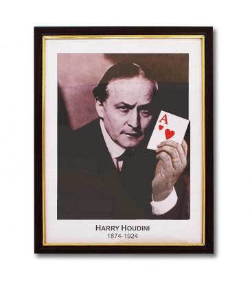 Houdini Prediction Frame