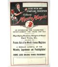 Mysto Magic Poster/MAGICANTIC