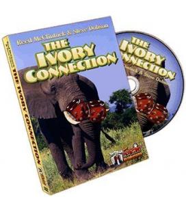 DVD THE IVORY CONNECTION